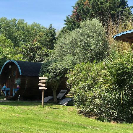 Montesquieu-LauragaisLa Bastide De Negra住宿加早餐旅馆 外观 照片