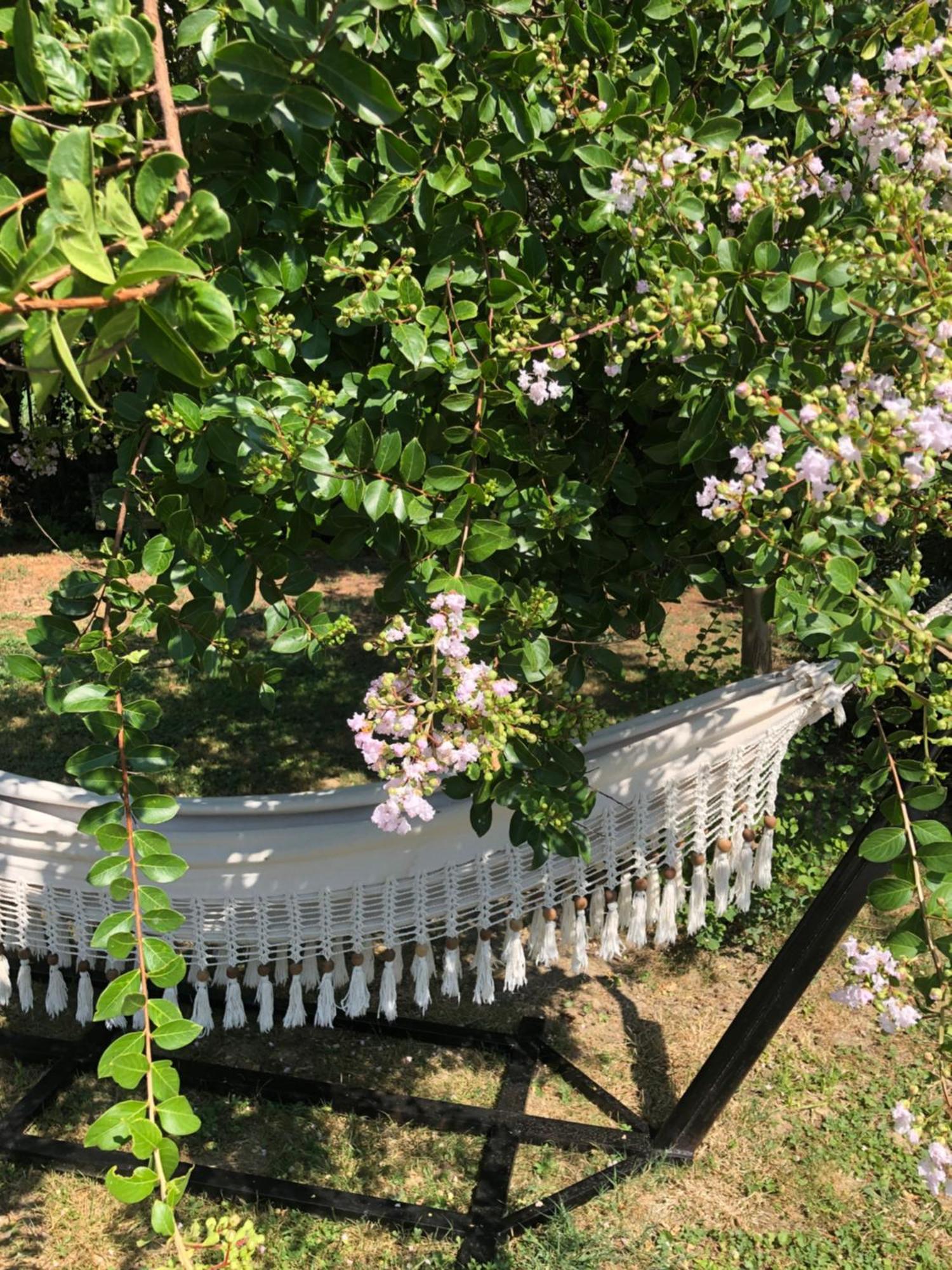 Montesquieu-LauragaisLa Bastide De Negra住宿加早餐旅馆 外观 照片