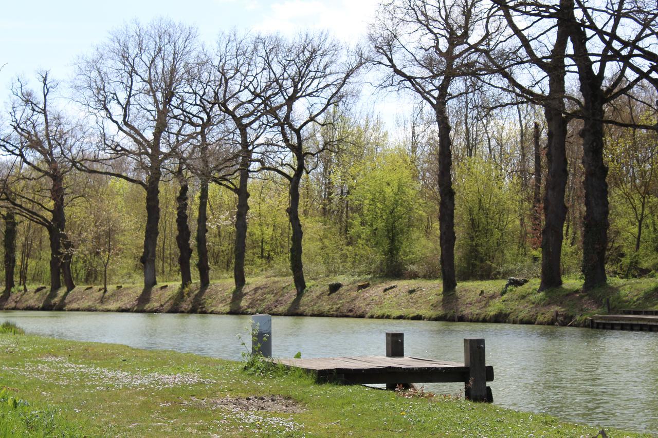 Montesquieu-LauragaisLa Bastide De Negra住宿加早餐旅馆 外观 照片