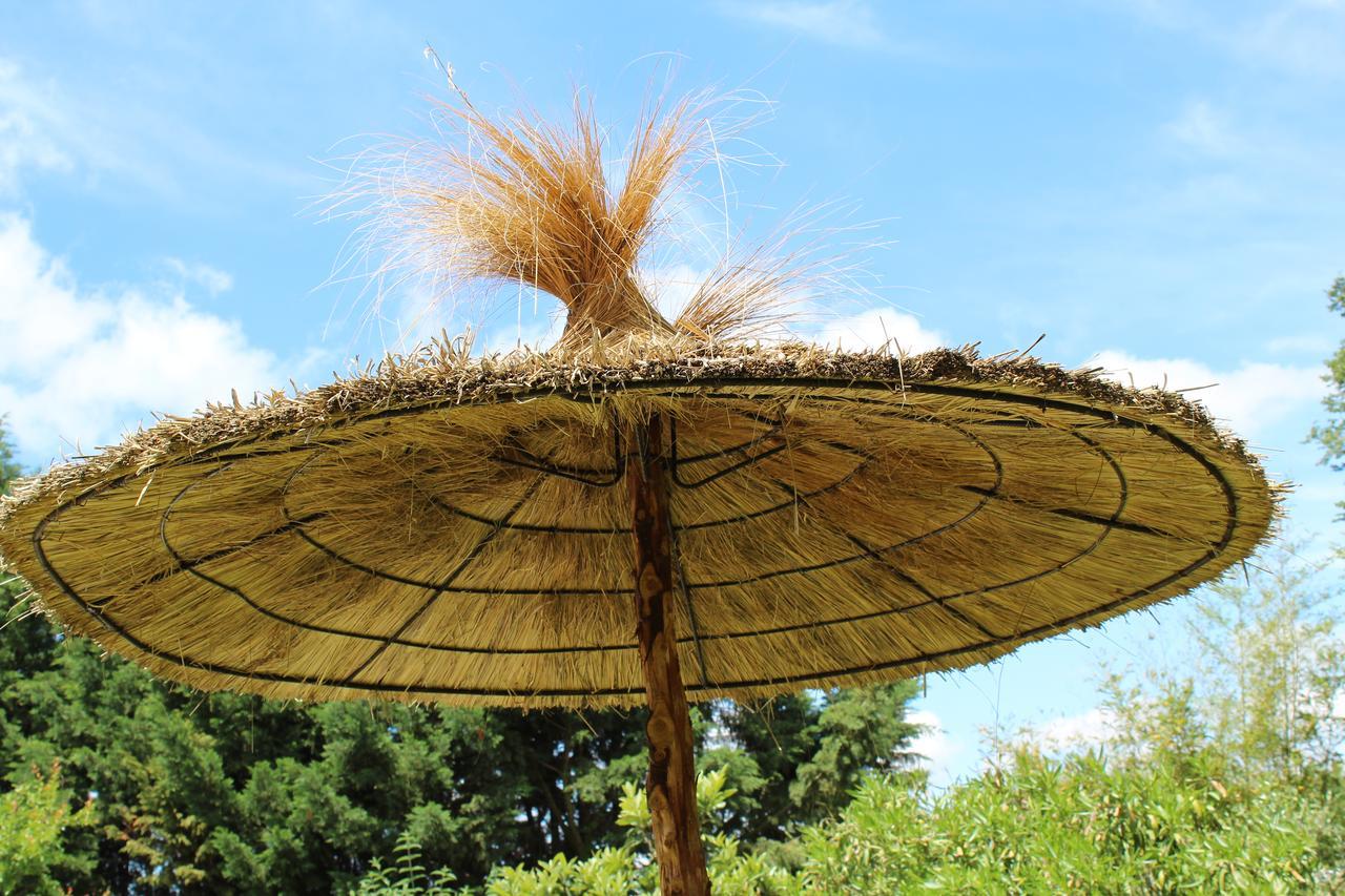 Montesquieu-LauragaisLa Bastide De Negra住宿加早餐旅馆 外观 照片