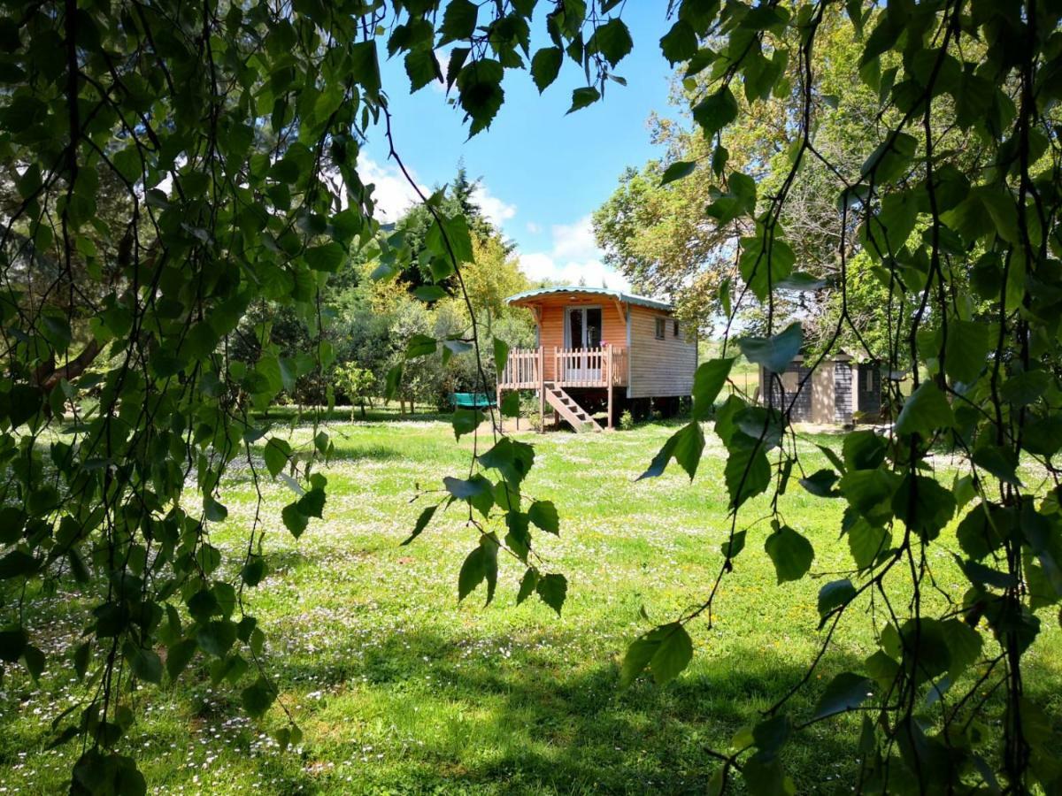 Montesquieu-LauragaisLa Bastide De Negra住宿加早餐旅馆 外观 照片