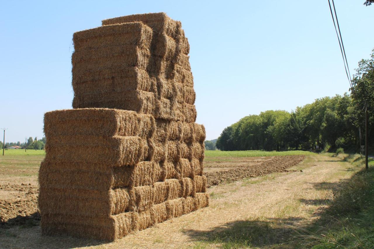 Montesquieu-LauragaisLa Bastide De Negra住宿加早餐旅馆 外观 照片